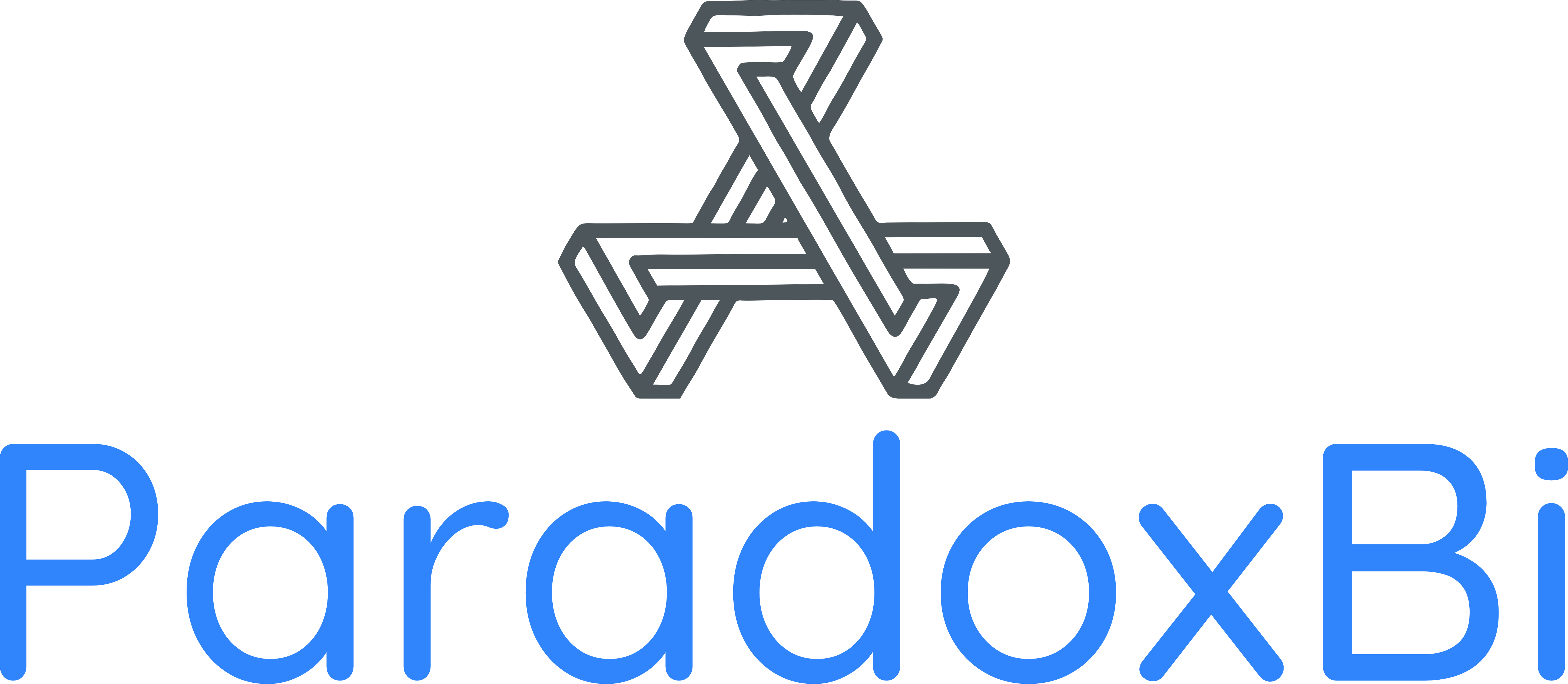 paradoxbi_logo